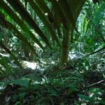 listing image thumbnail with ID 86739