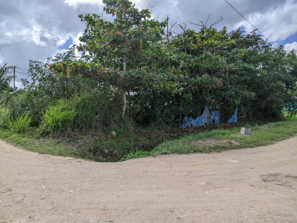 listing image with ID 108448