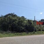 listing image thumbnail with ID 92847