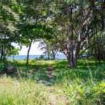 listing image thumbnail with ID 93570