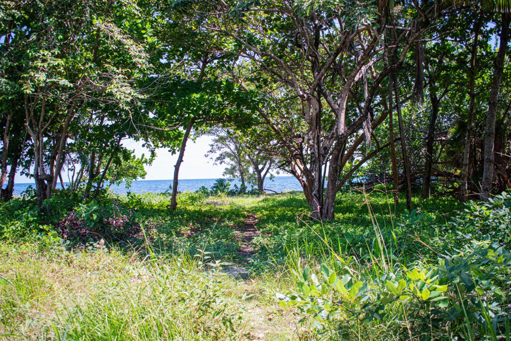 listing image with ID 93570