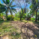 listing image thumbnail with ID 77643