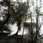 listing image thumbnail with ID 82845