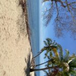 listing image thumbnail with ID 79889