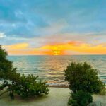 listing image thumbnail with ID 95146