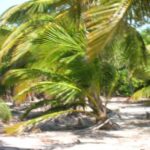 listing image thumbnail with ID 107225
