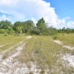 listing image thumbnail with ID 108589