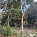 listing image thumbnail with ID 102307