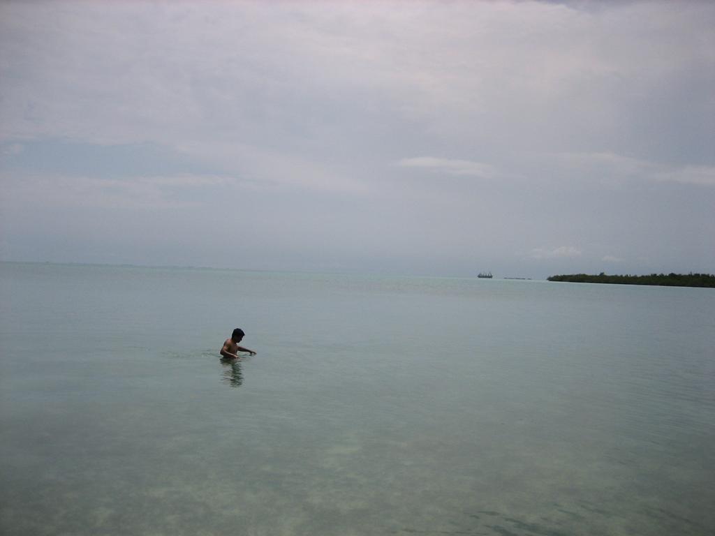 listing image with ID 87363