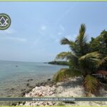 listing image thumbnail with ID 101842