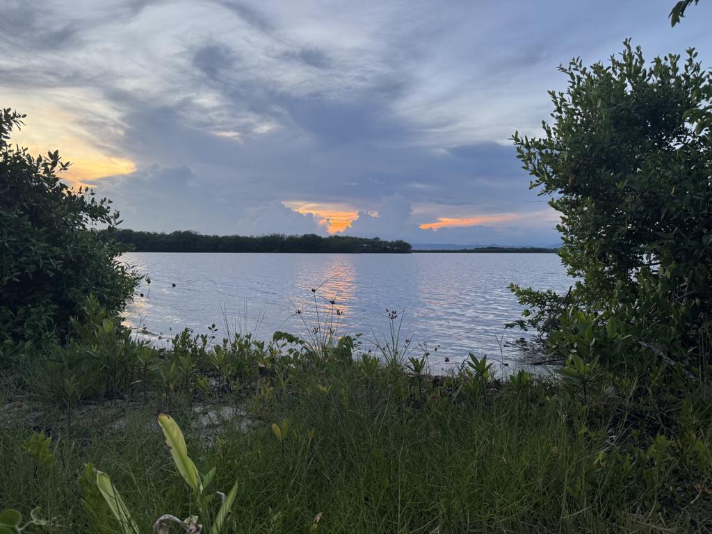 listing image with ID 103657