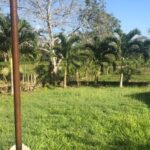 listing image thumbnail with ID 99159
