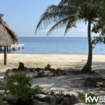 listing image thumbnail with ID 75730