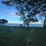 listing image thumbnail with ID 93566
