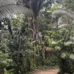 listing image thumbnail with ID 109092