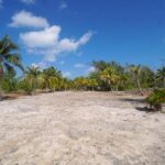 listing image thumbnail with ID 107401