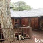 listing image thumbnail with ID 91998