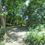 listing image thumbnail with ID 78533