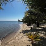 listing image thumbnail with ID 75823