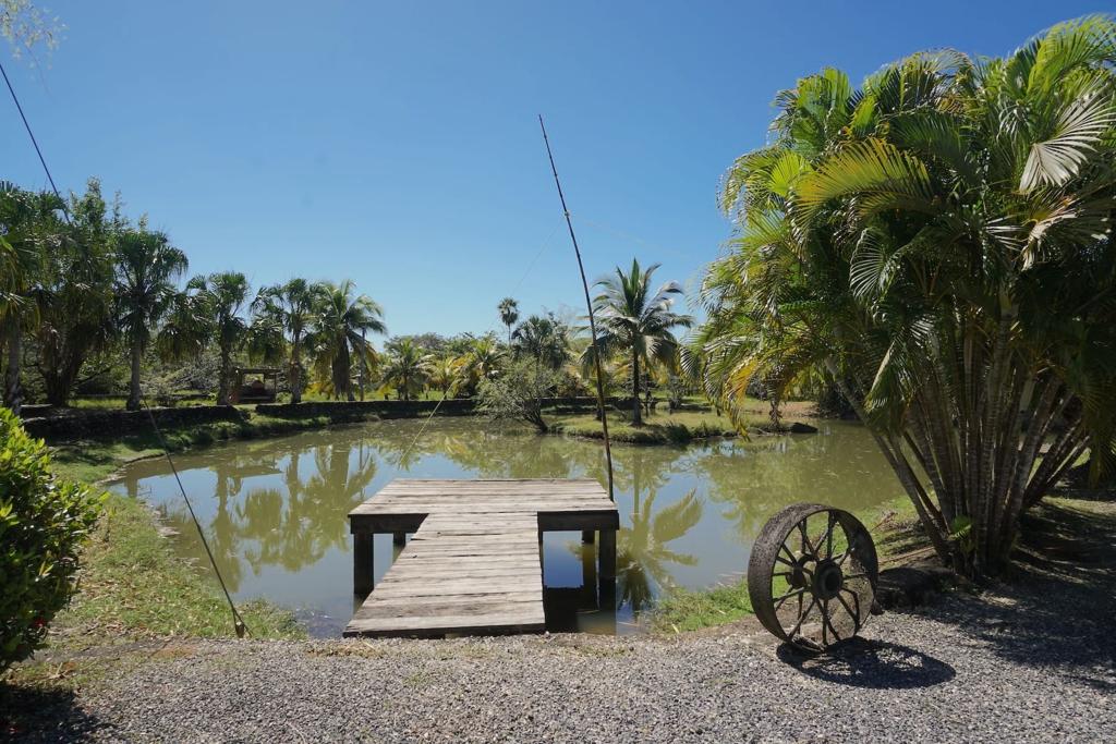 listing image with ID 88108