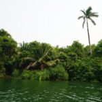 listing image thumbnail with ID 105742