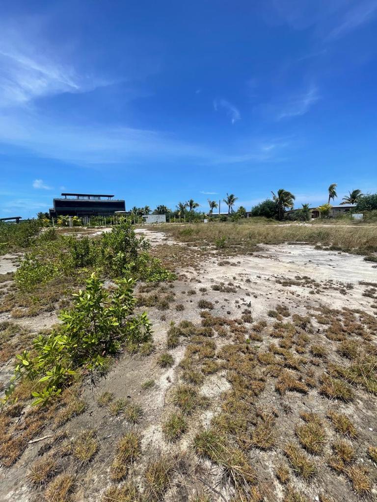 listing image with ID 79342