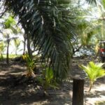 listing image thumbnail with ID 82840