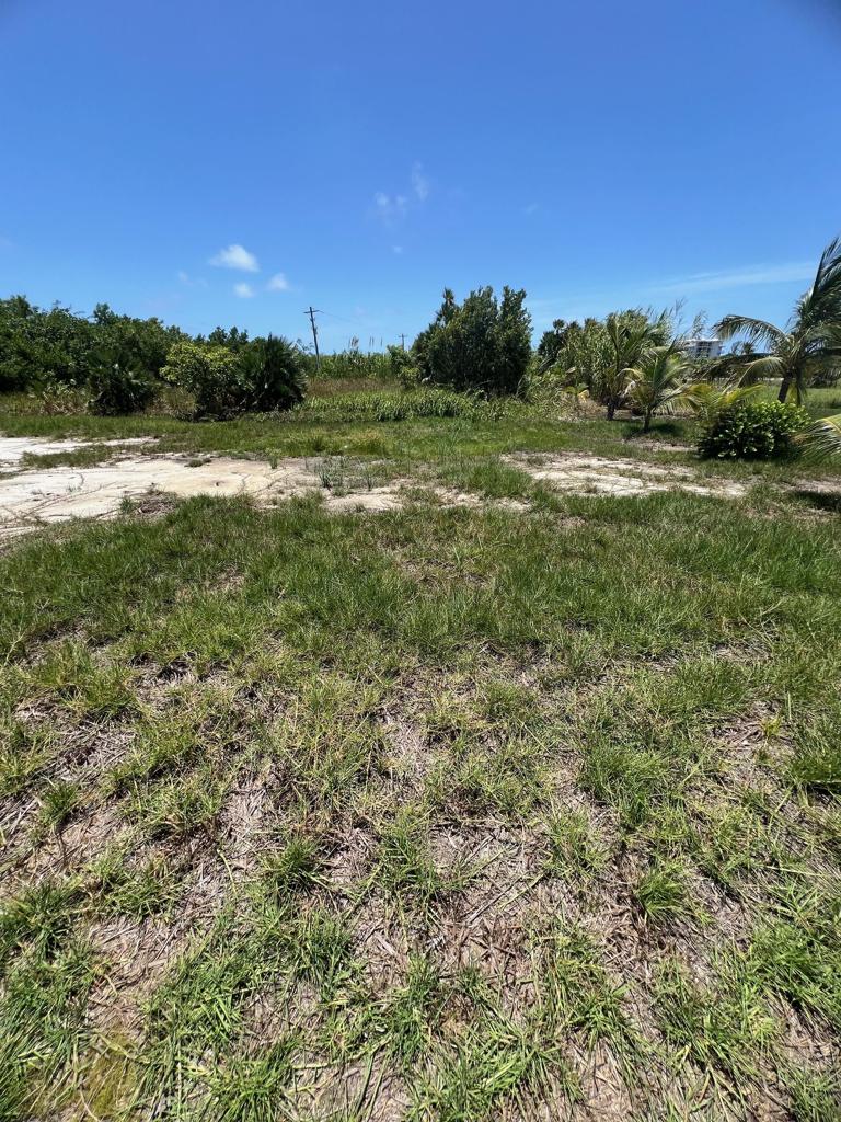 listing image with ID 103876