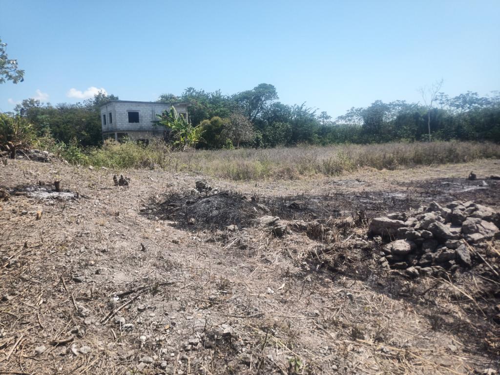 listing image with ID 109209