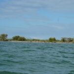 listing image thumbnail with ID 101177
