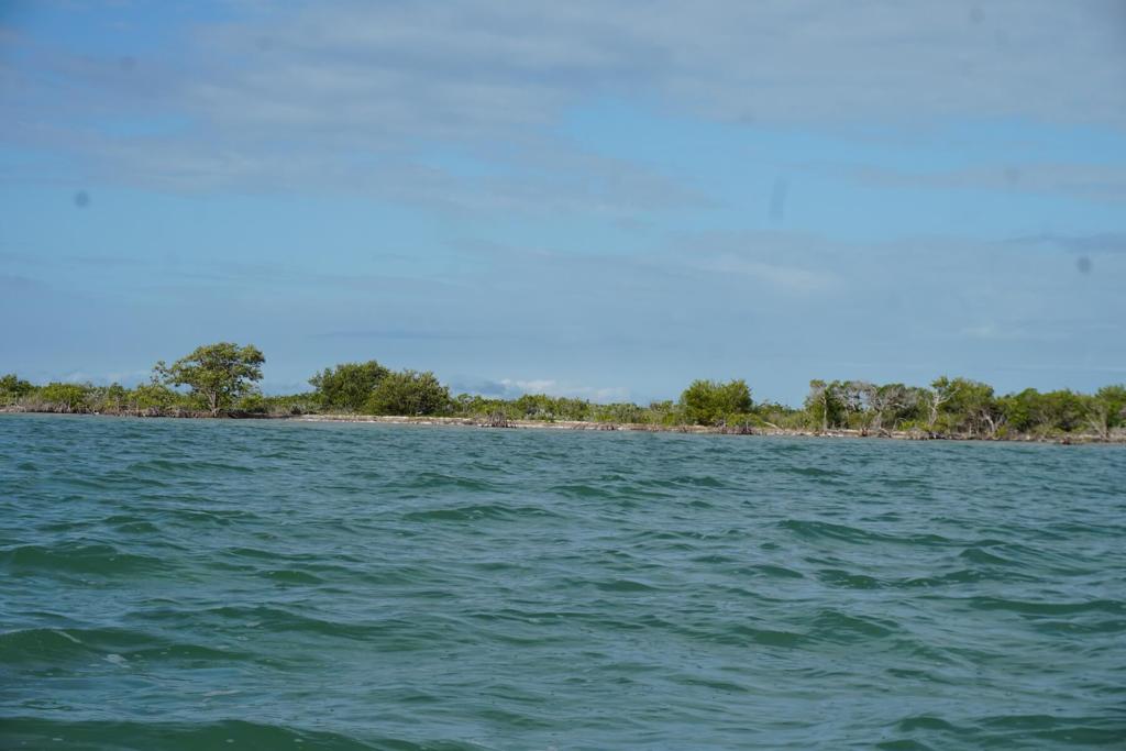 listing image with ID 101177