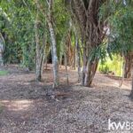 listing image thumbnail with ID 102456