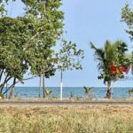 listing image thumbnail with ID 86540