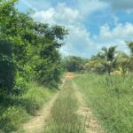 listing image thumbnail with ID 104725
