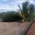 listing image thumbnail with ID 100572