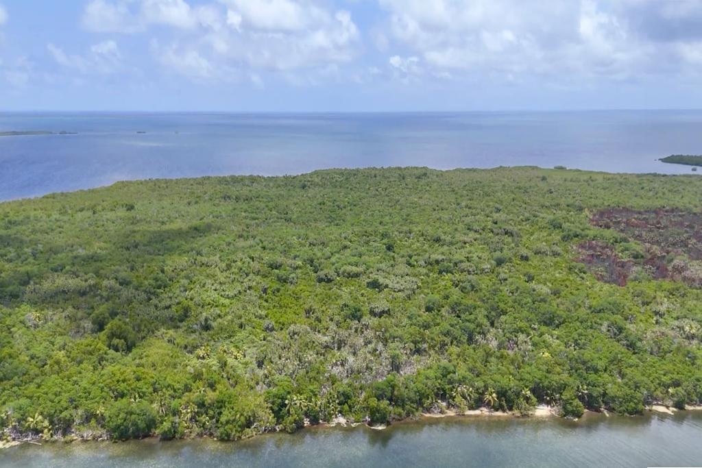 listing image with ID 74966