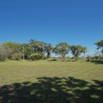 listing image thumbnail with ID 88119