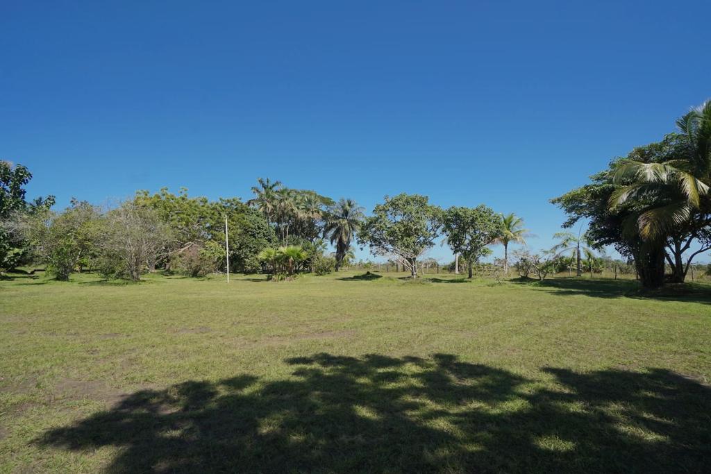listing image with ID 88119