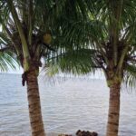 listing image thumbnail with ID 76079