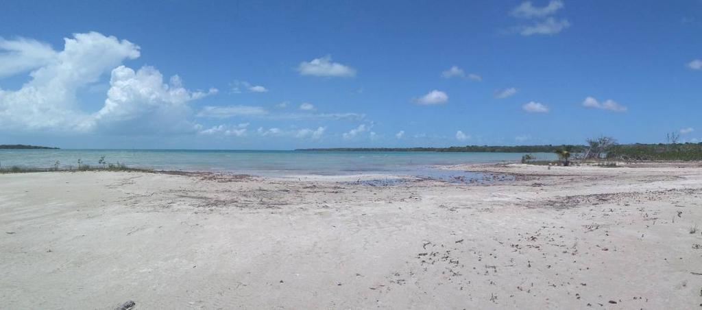 listing image with ID 85211