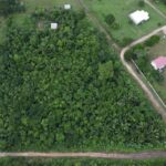 listing image thumbnail with ID 100623