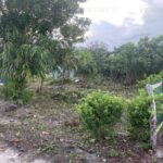 listing image thumbnail with ID 97417