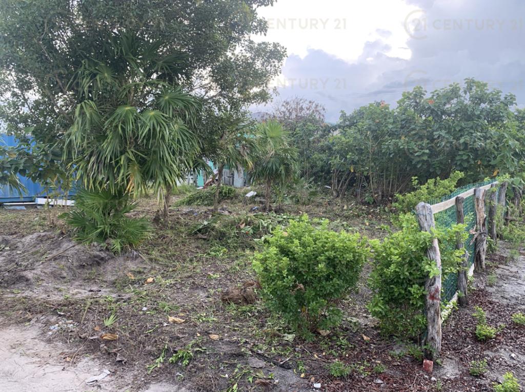 listing image with ID 97417
