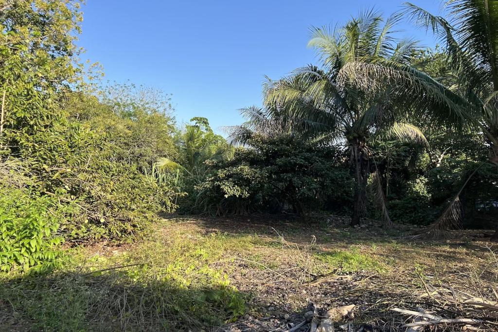 listing image with ID 85508