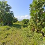 listing image thumbnail with ID 80967