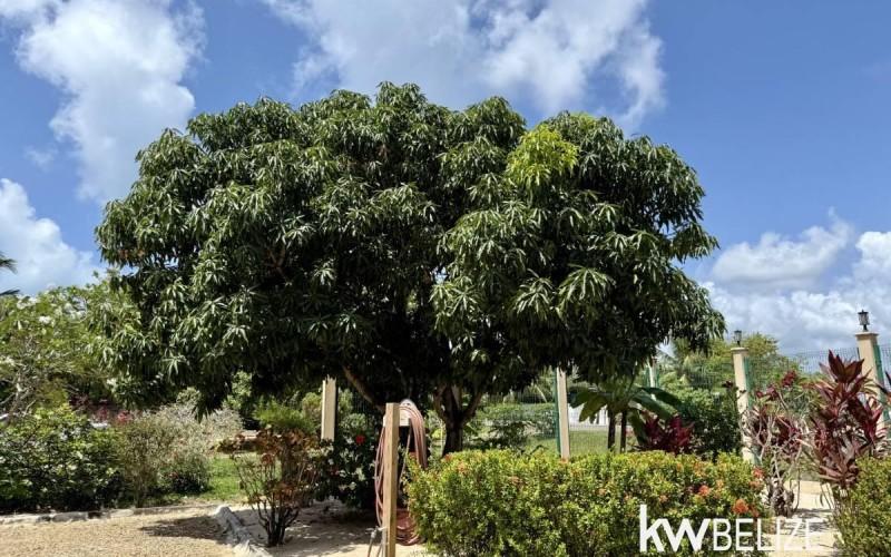 listing image with ID 107096