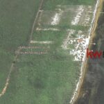 listing image thumbnail with ID 90153