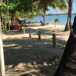 listing image thumbnail with ID 99066