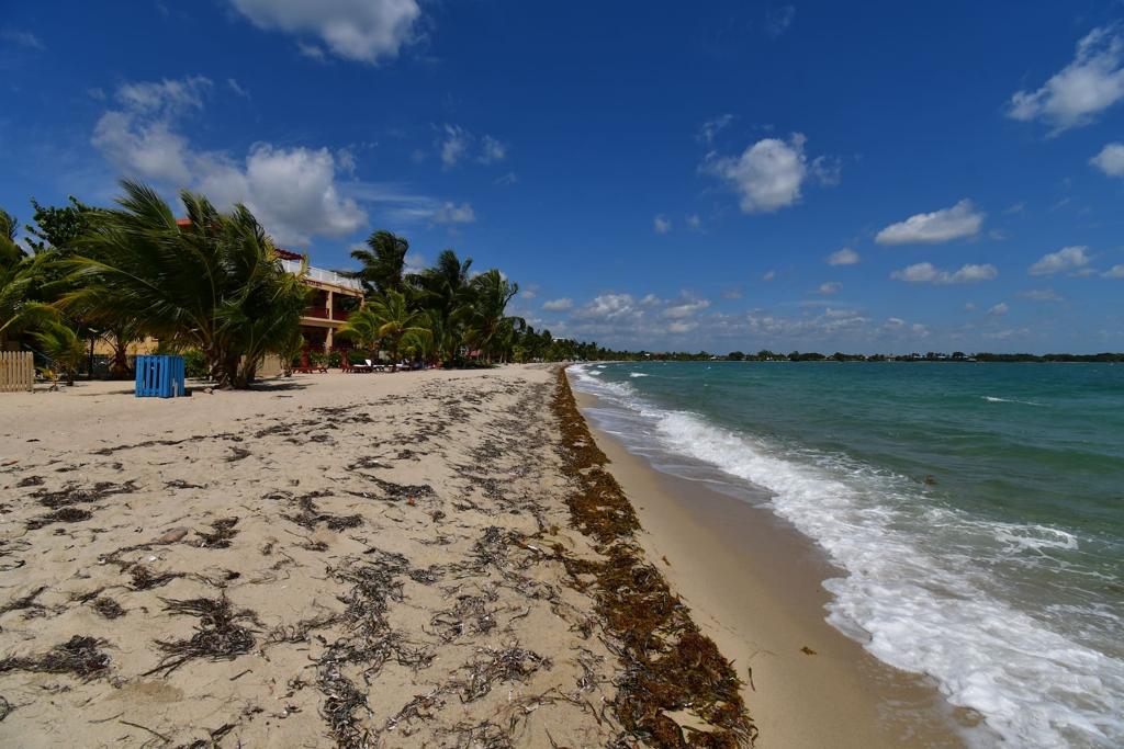 listing image with ID 82927