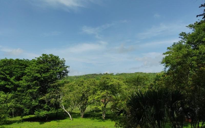 listing image with ID 90687